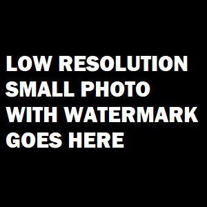 Futurity Photo Sample